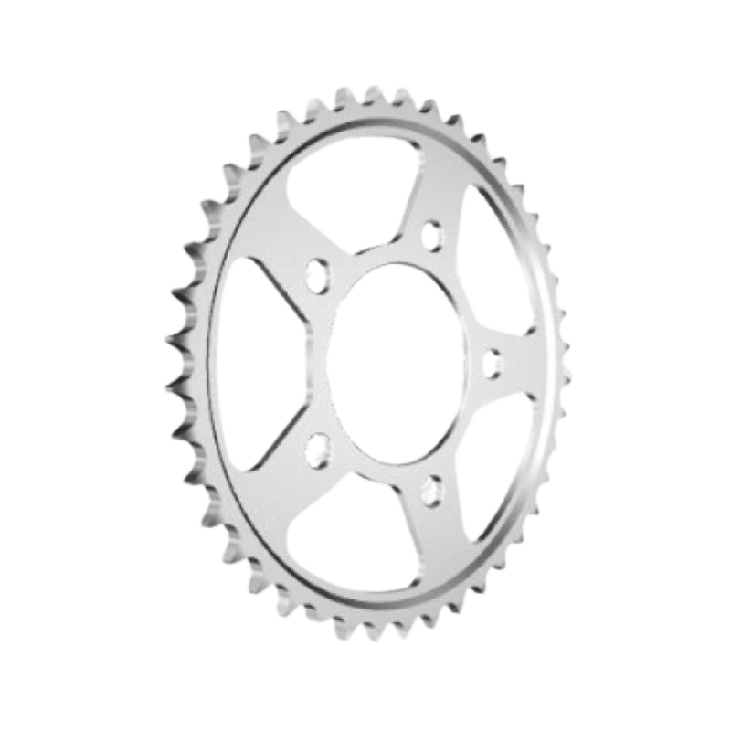 front view of Afam 10802-42 Rear Sprocket - 42 Teeth