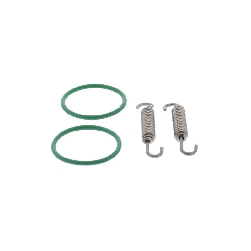 Exhaust Gasket Kit (823115)