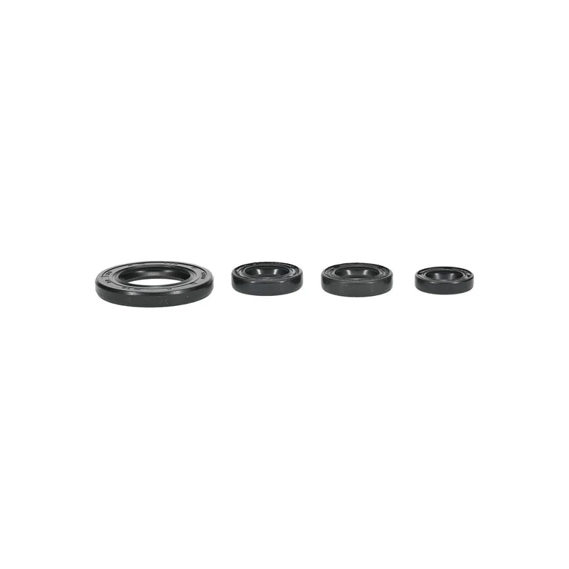 Engine Oil Seal Kit (822395)