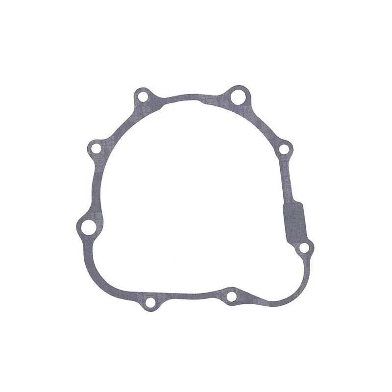 Ignition Cover Gasket (816584)
