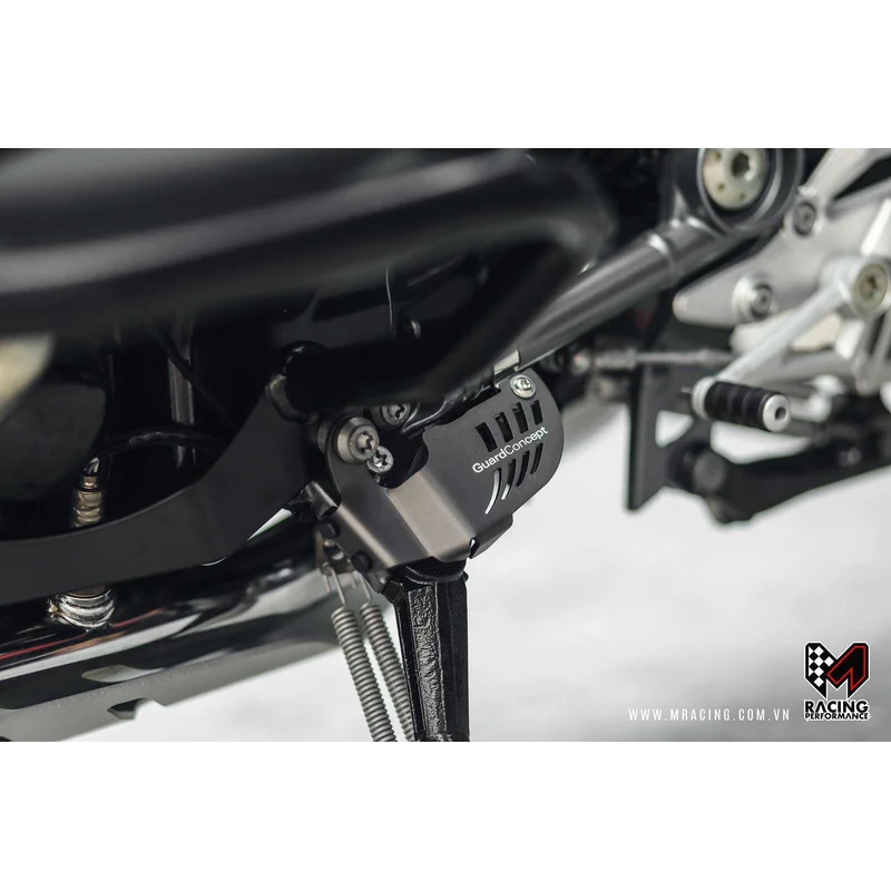 BMW R Series Protection - Stand (Side) Switch Guard