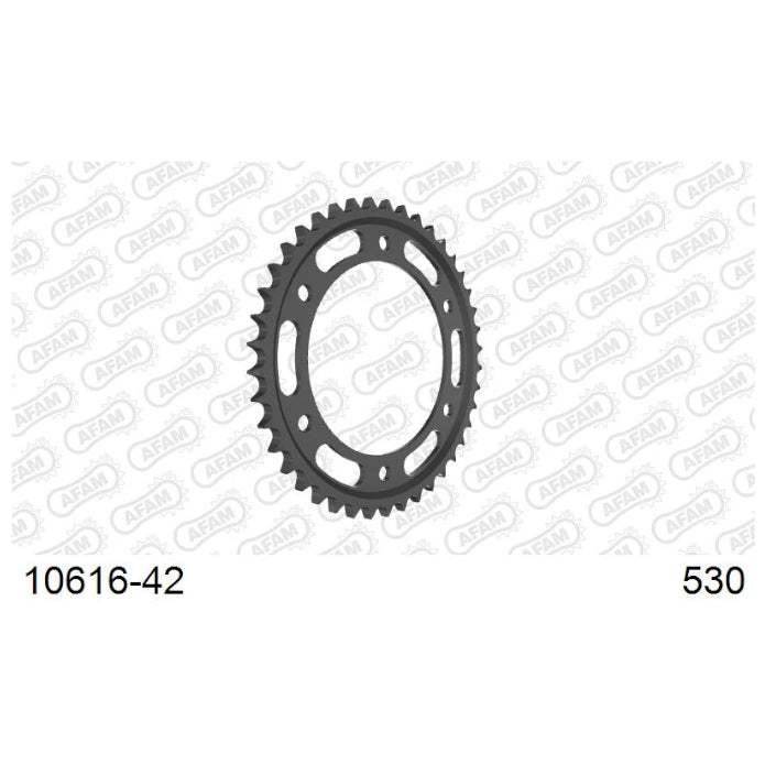 Baycity Power Parts Afam 10616-42 rear sprocket 42 teeth for motorcycle maintenance and chain setup