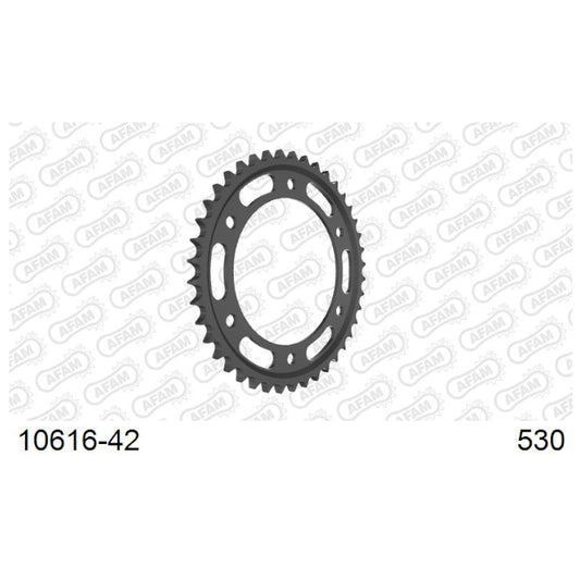 Baycity Power Parts Afam 10616-42 rear sprocket 42 teeth for motorcycle maintenance and chain setup