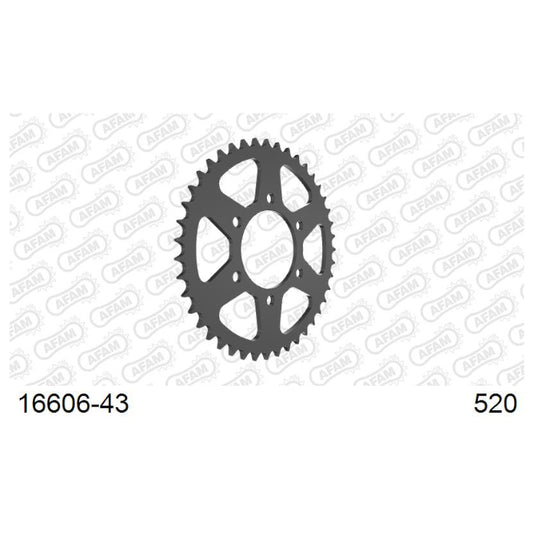 Baycity Power Parts Afam 16606-43 rear sprocket 43 teeth for motorcycle maintenance and chain setup