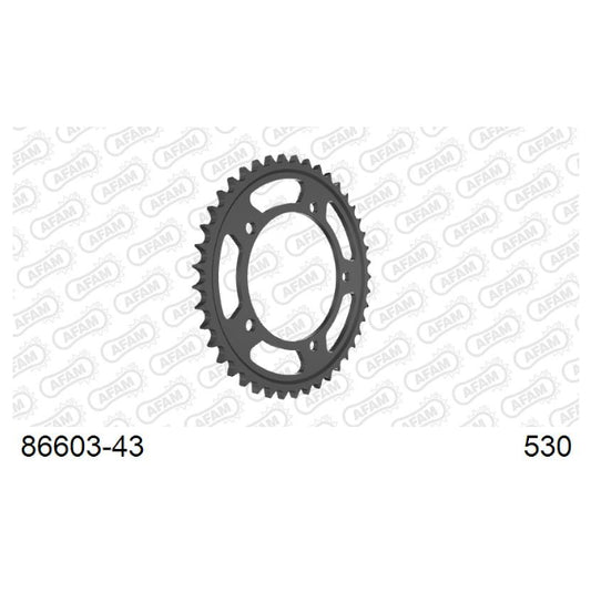 Baycity Power Parts Afam 86603-43 rear sprocket 43 teeth for motorcycle maintenance and chain setup