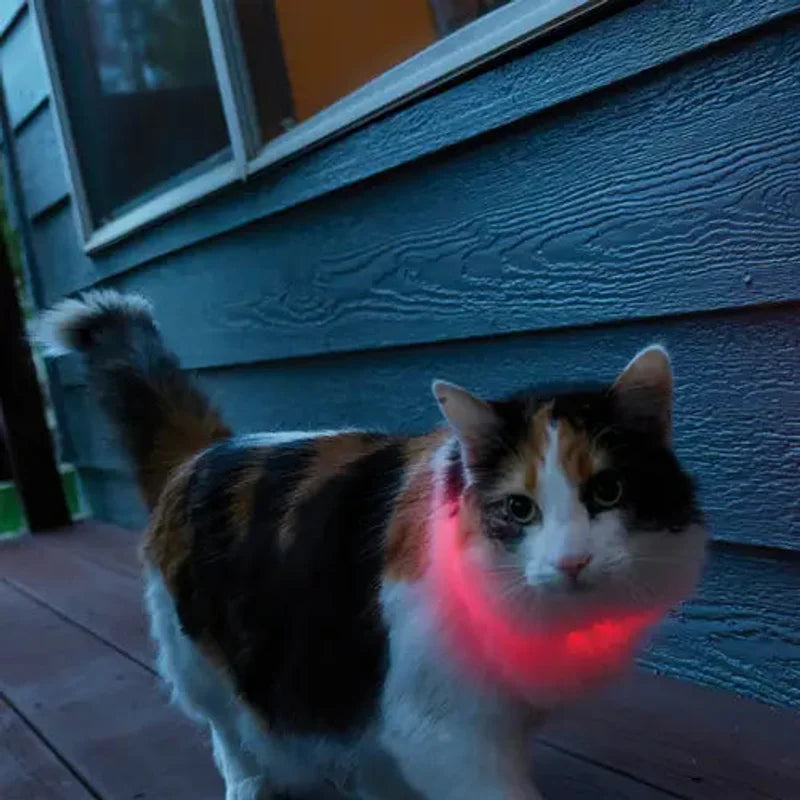 NITEMEOW™ RECHARGEABLE LED SAFETY NECKLACE - DISC-O SELECT™
