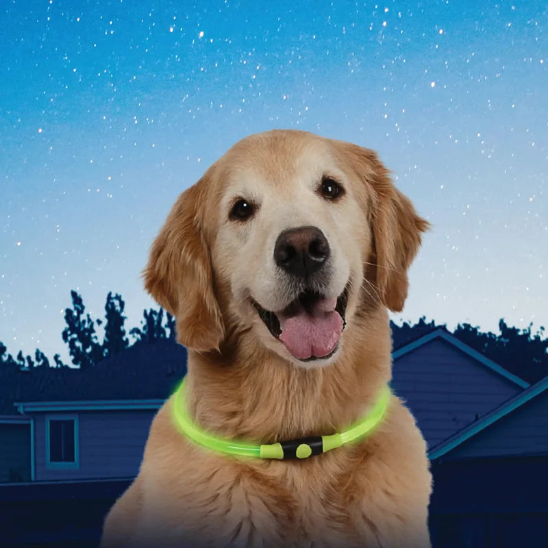 NITEHOWL® LED SAFETY NECKLACE - Green