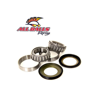 Steering Bearing Kit (22-1060)