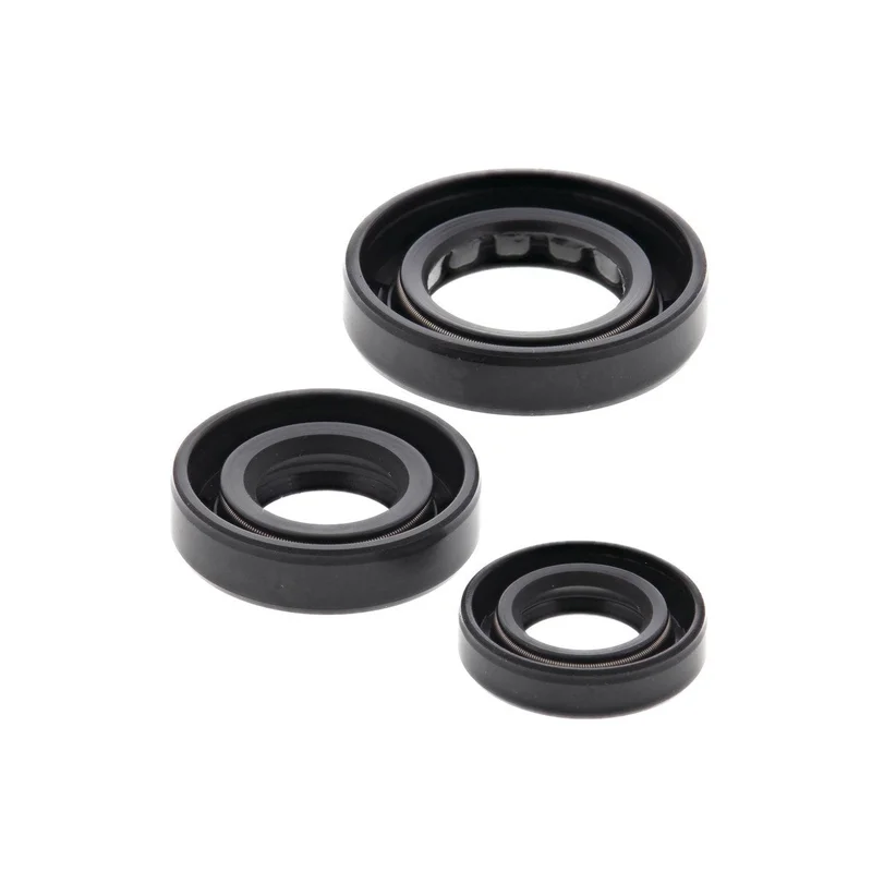 Engine Oil Seal Kit (822180)