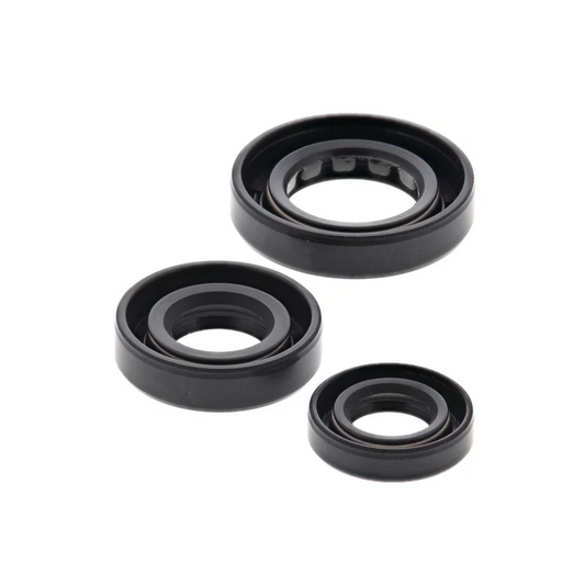 Engine Oil Seal Kit (822180)