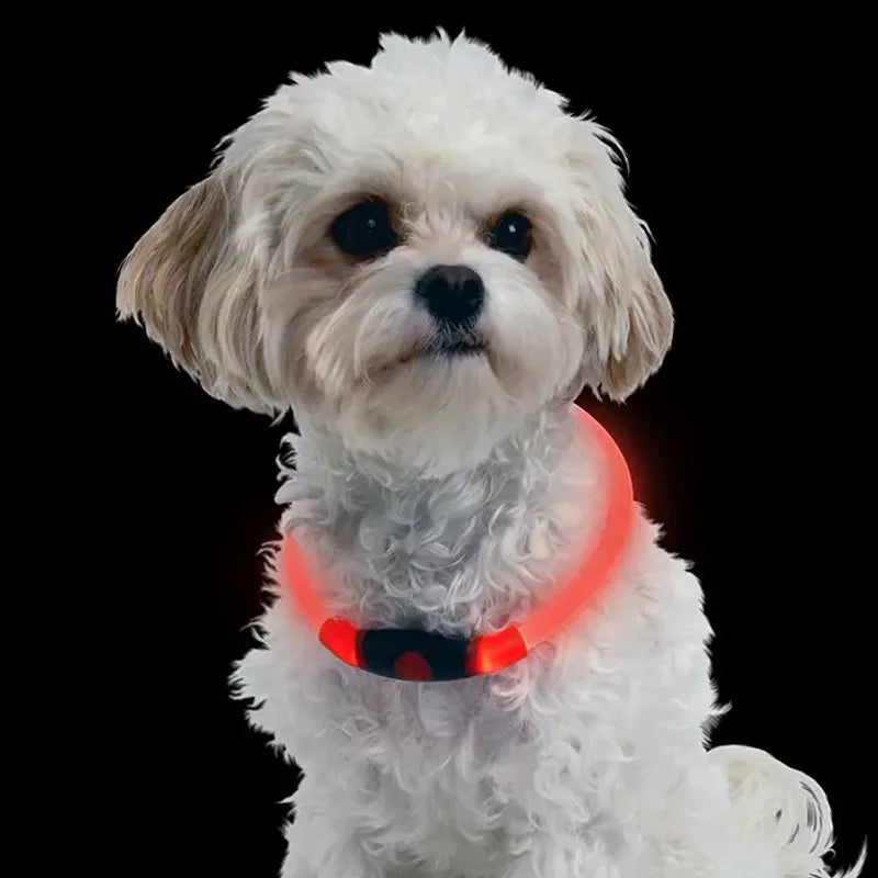 NITEHOWL® LED SAFETY NECKLACE - Orange