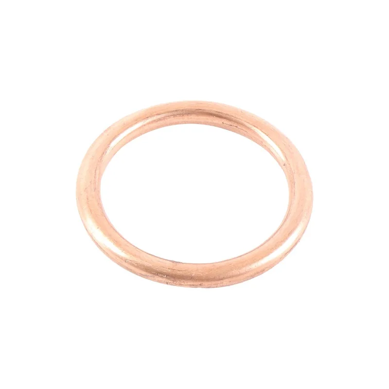 Exhaust Gasket Kit (823055)