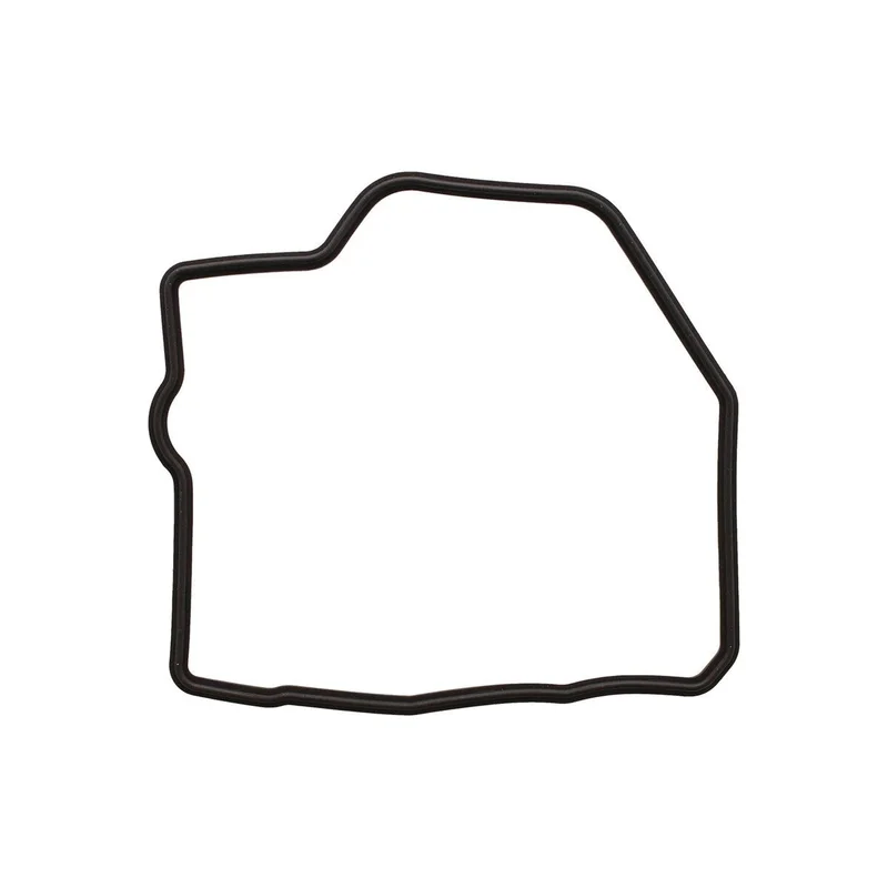 Valve Cover Gasket (819159)