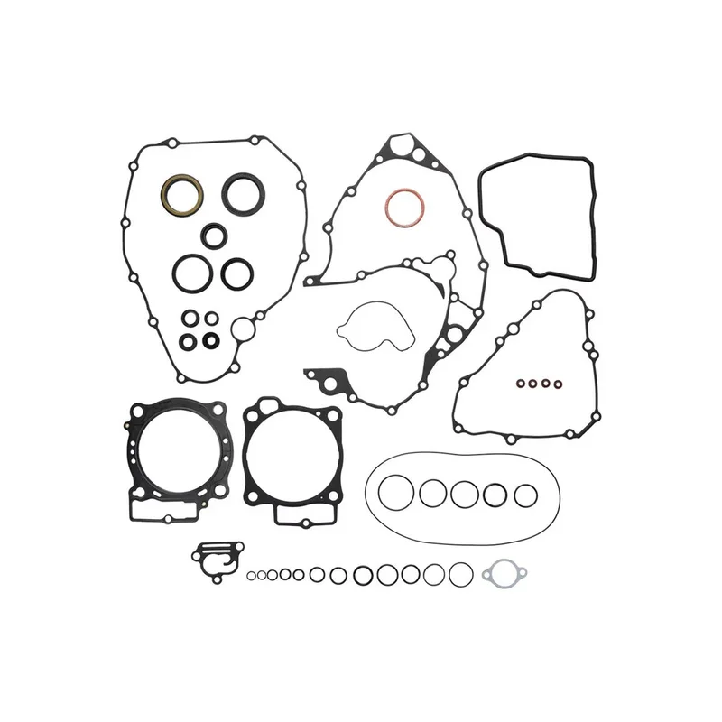 Complete Gasket Kit With Seals (8110035)