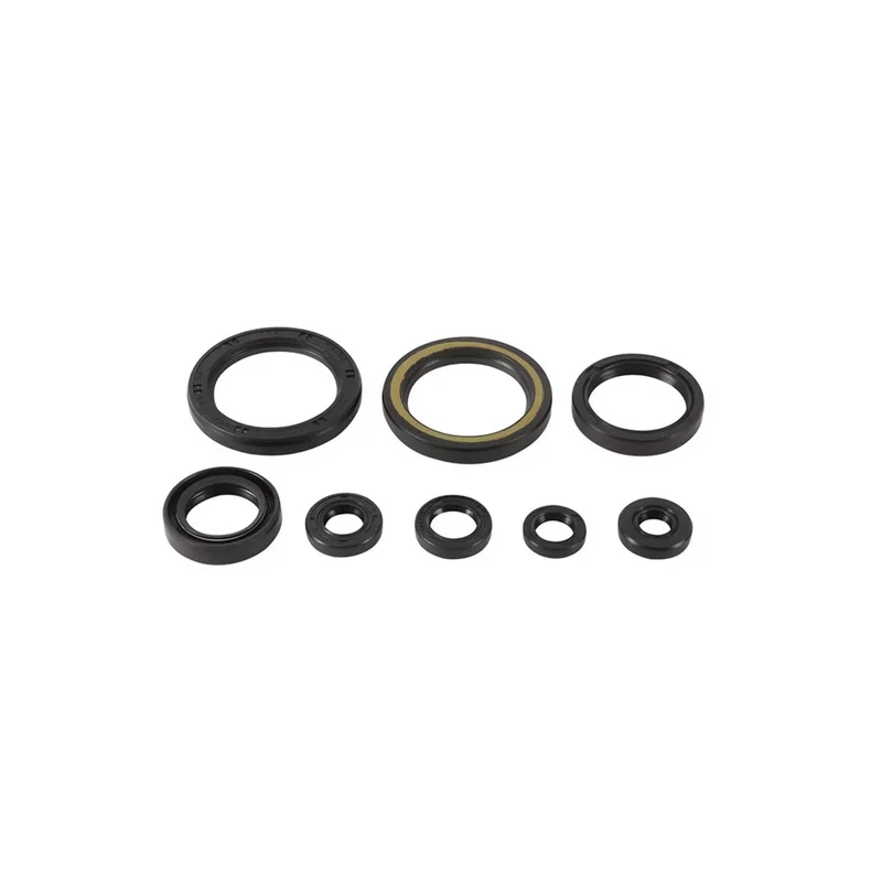 Engine Oil Seal Kit (822378)