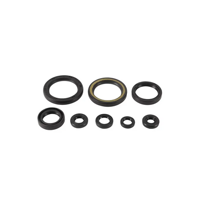 Engine Oil Seal Kit (822378)