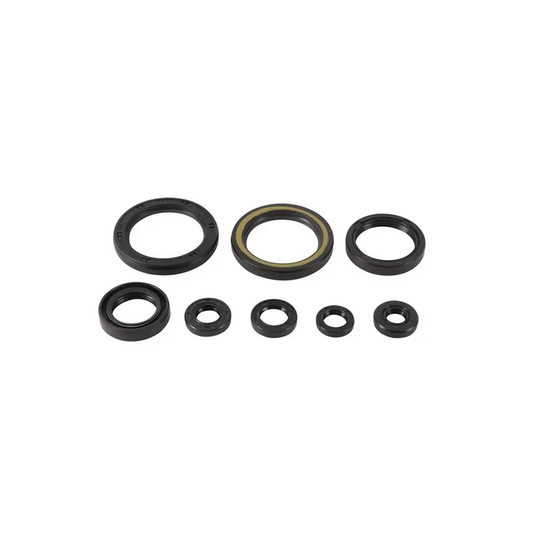 Engine Oil Seal Kit (822378)