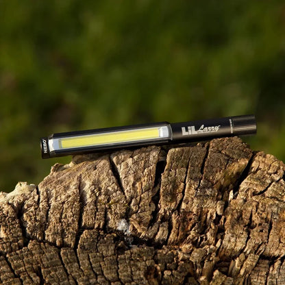 LIL LARRY 250 | BATTERY - 250