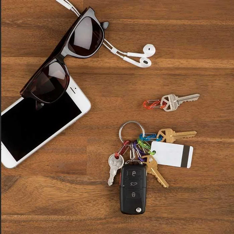 KEYRING BIG LOCKER WITH S-BINERS - Plastic