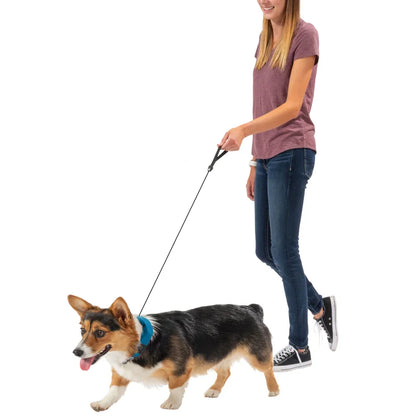 RADDOG ALL-IN-ONE COLLAR LEASH - Red / 40 -45cm (M)