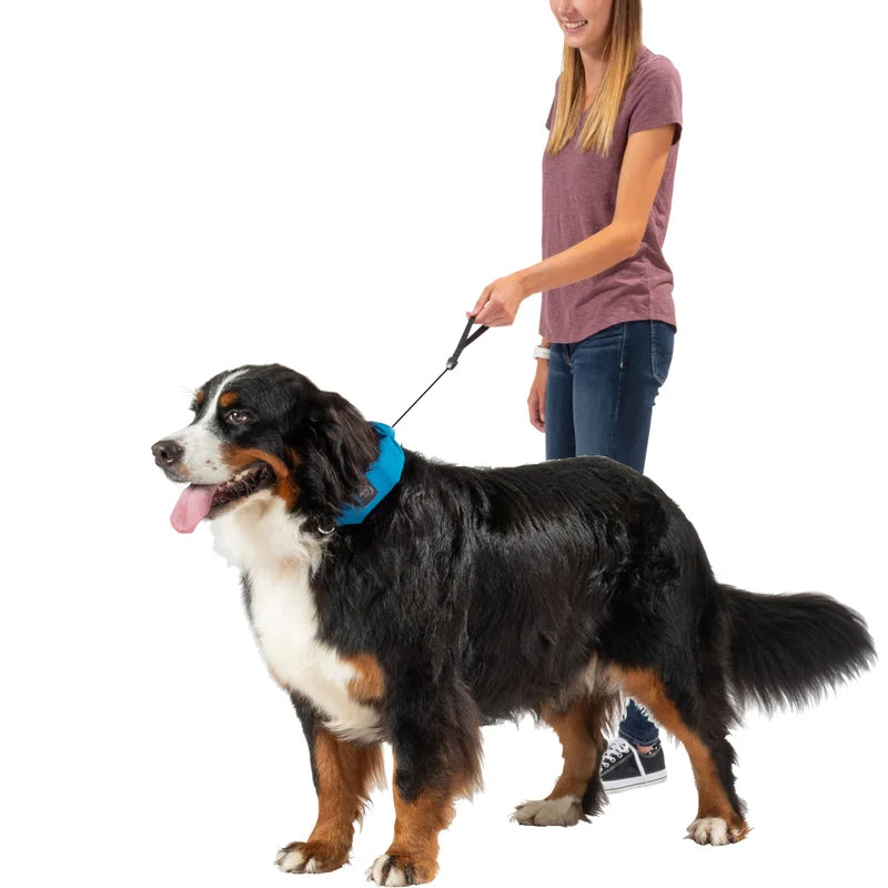 RADDOG ALL-IN-ONE COLLAR LEASH - Red / 40 -45cm (M)