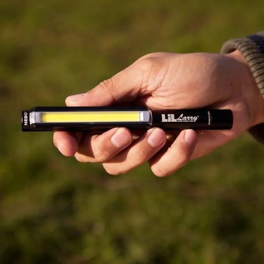 LIL LARRY 250 | BATTERY - 250