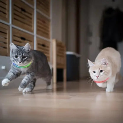 NITEMEOW™ RECHARGEABLE LED SAFETY NECKLACE - DISC-O SELECT™