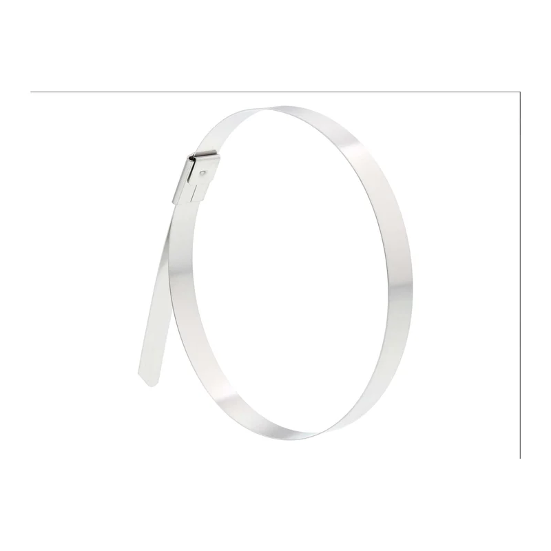 Cable Ties Stainless Steel (per pc) - 360mm