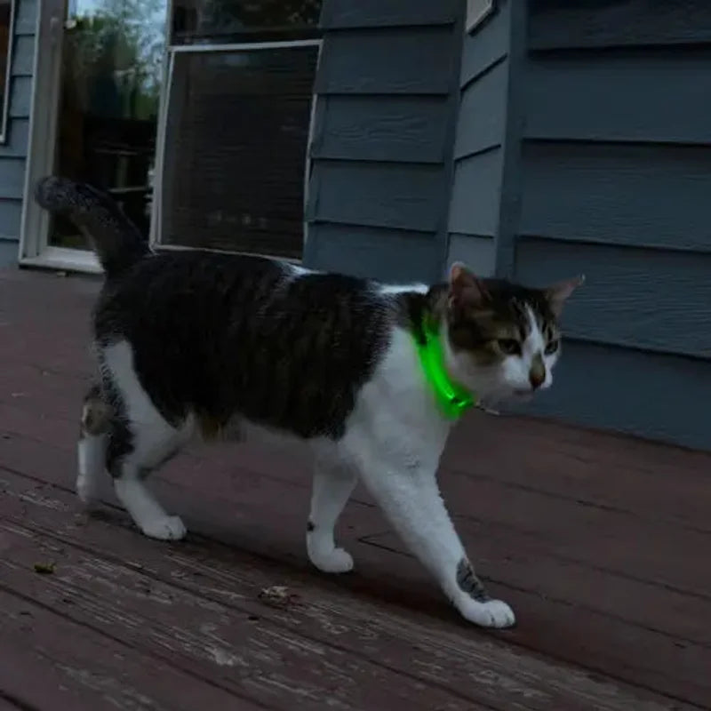 NITEMEOW™ RECHARGEABLE LED SAFETY NECKLACE - DISC-O SELECT™