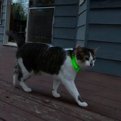 NITEMEOW™ RECHARGEABLE LED SAFETY NECKLACE - DISC-O SELECT™