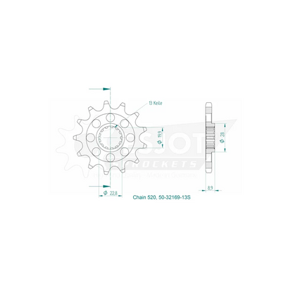 Sprockets Front (32169-13S) - Esjot (Sports)