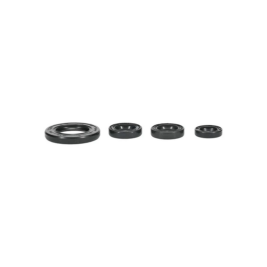 Engine Oil Seal Kit (822395)