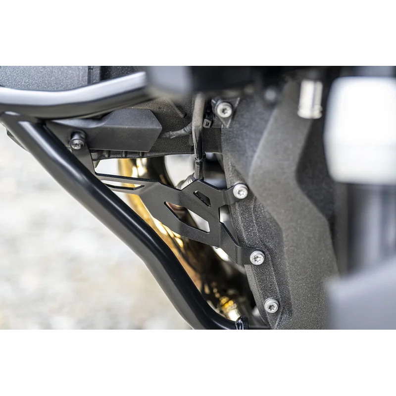 BMW R1300GS Protection - Oxygen Sensor
