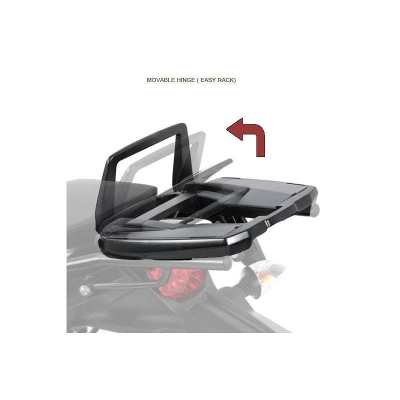 Suzuki Hayabusa Carrier Topcases - Movable Hinge (Easy Rack)