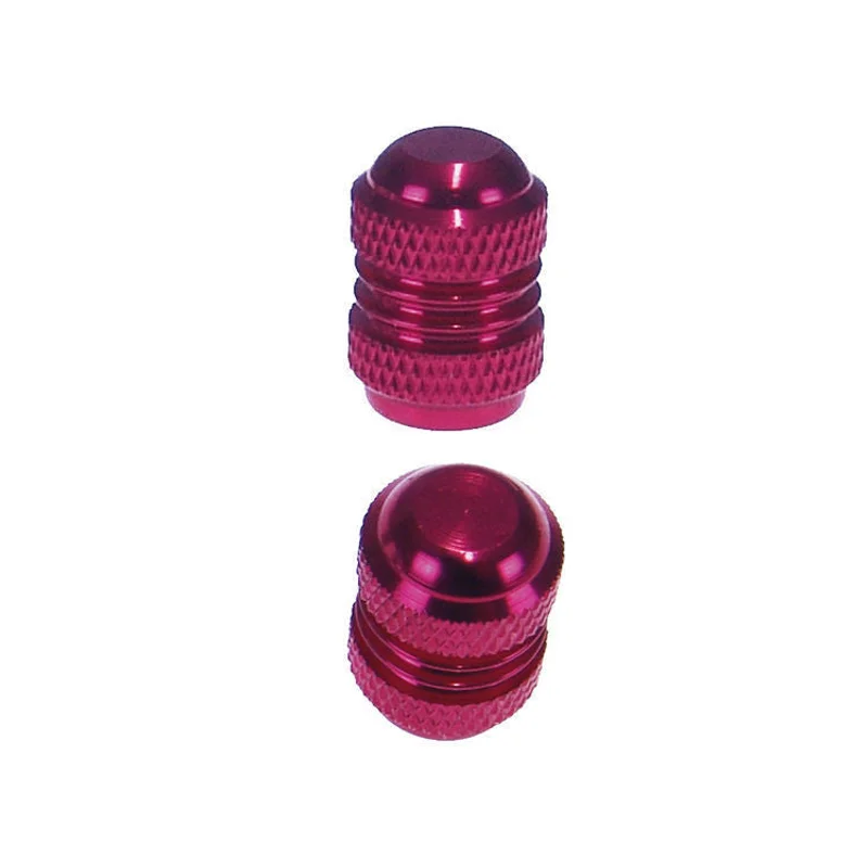 Tyre Standard Valve Cap (Set) - Silver