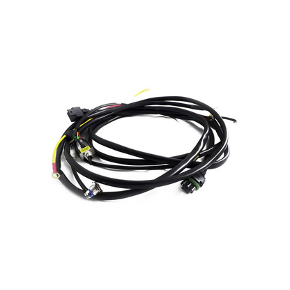 Wiring Harness - XL , ONX6 & S8 - XL Standard 30"  / Might not have Relay