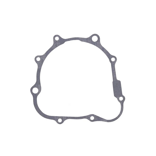 Ignition Cover Gasket (816584)