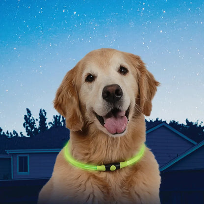 NITEHOWL® LED SAFETY NECKLACE - Orange