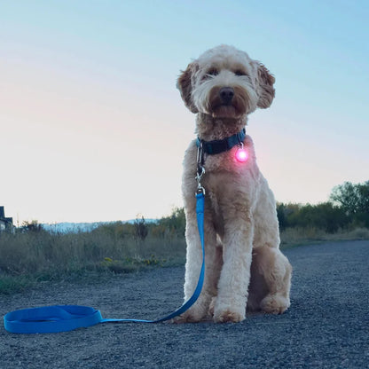 SPOTLIT® RECHARGEABLE COLLAR LIGHT - White