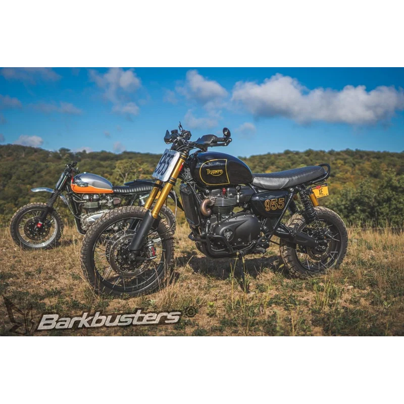 Deflectors - Carbon by Barkbusters