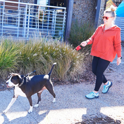 RADDOG RETRACTABLE POCKET LEASH - Small