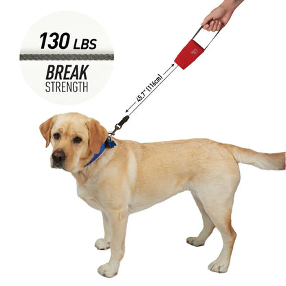 RADDOG RETRACTABLE POCKET LEASH - Large