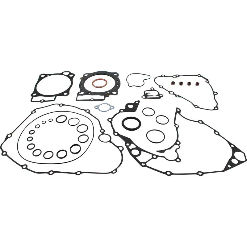 Complete Gasket Kit Without Seals (8080034)