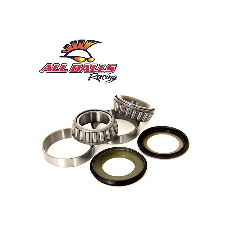 Steering Bearing Kit (1062)