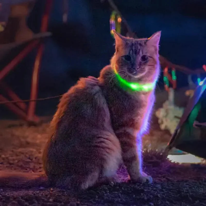 NITEMEOW™ RECHARGEABLE LED SAFETY NECKLACE - DISC-O SELECT™