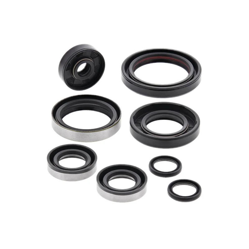 Engine Oil Seal Kit (822264)