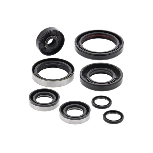 Engine Oil Seal Kit (822264)