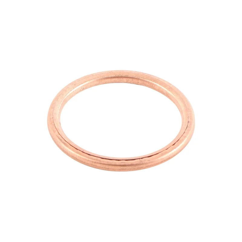 Exhaust Gasket Kit (823075)
