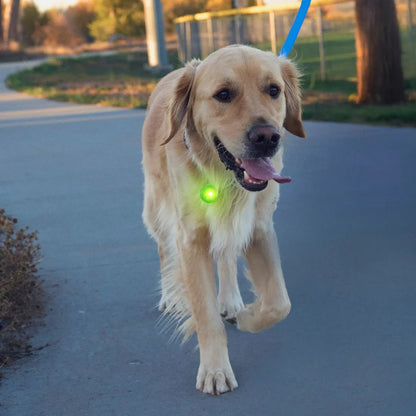 SPOTLIT® RECHARGEABLE COLLAR LIGHT - Pink