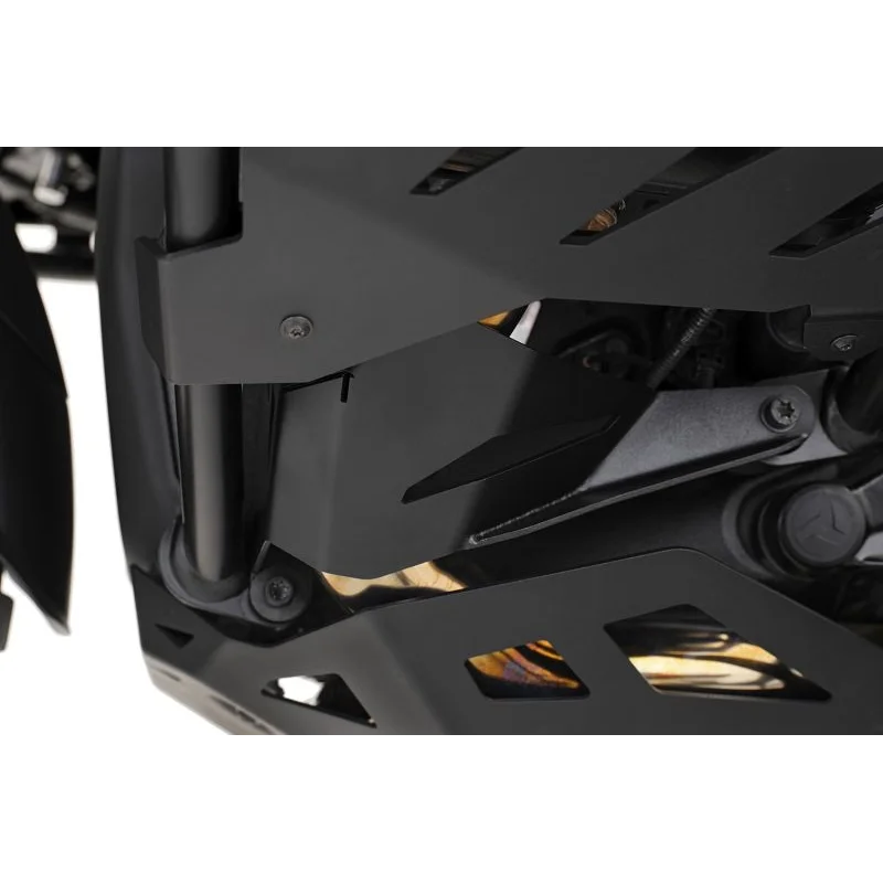 BMW R 1300 GS Protection - Engine Crash Bars (Black)